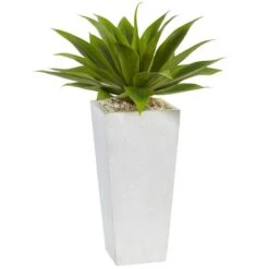 2ft. Agave In White Planter