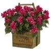 18" Pink Bougainvillea In Rustic Wood Planter 1 18" Pink Bougainvillea In Rustic Wood Planter -Michaels D262811S 11
