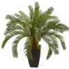 2.5ft. Cycas In Black Planter -Michaels D262833S 11