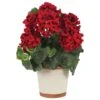 17" Red Geranium In White Decorative Pot -Michaels D262840S 11