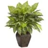 23" Dieffenbachia Tree In Decorative Vase -Michaels D262841S 11