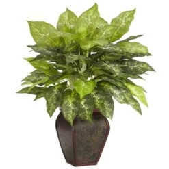 23" Dieffenbachia Tree In Decorative Vase
