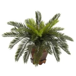 15" Cycas With Hexagon Vase