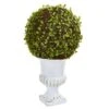 18" Mohlenbechia Ball Topiary In White Urn 1 18" Mohlenbechia Ball Topiary In White Urn -Michaels D262858S 11