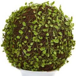 18" Mohlenbechia Ball Topiary In White Urn -Michaels D262858S 12