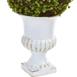 18" Mohlenbechia Ball Topiary In White Urn -Michaels D262858S 13