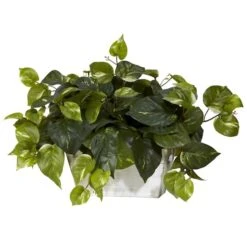 14" Pothos With White Wash Planter 9 14" Pothos With White Wash Planter -Michaels D262867S 12