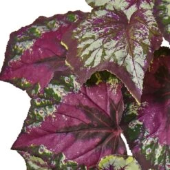 16" Begonia Bush, 6ct. -Michaels D262898S 12
