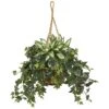 2.5ft. Silver Queen And Ivy Plant In Hanging Basket -Michaels D262939S 11