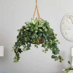 2.5ft. Silver Queen And Ivy Plant In Hanging Basket -Michaels D262939S 13