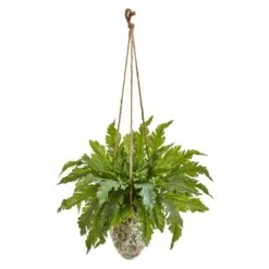 2.5ft. Fern Plant In Hanging Decorative Vase