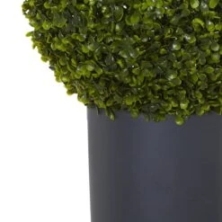 2.5ft. Boxwood Topiary Plant In Gray Cylinder Planter 11 2.5ft. Boxwood Topiary Plant In Gray Cylinder Planter -Michaels D262951S 13