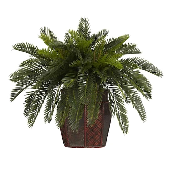 19" Double Cycas With Vase 4 19" Double Cycas With Vase - Image 2
