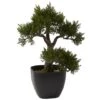 15in. Cedar Bonsai With Black Square Planter 1 15in. Cedar Bonsai With Black Square Planter -Michaels D262961S 11