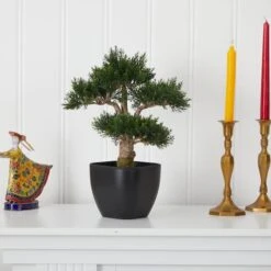 15in. Cedar Bonsai With Black Square Planter -Michaels D262961S 12