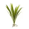 15" Grass Plant, 6ct. -Michaels D262962S 1