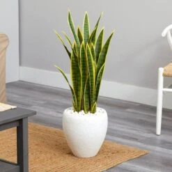 2.5ft. Green & Yellow Snake Plant In White Planter 9 2.5ft. Green & Yellow Snake Plant In White Planter -Michaels D262964S 12
