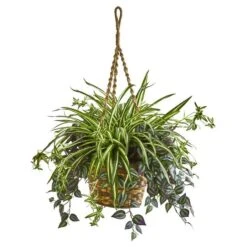 2.5ft. Inchplant & Spider Plant In Hanging Basket -Michaels D262966S 1 1