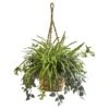 2.5ft. Inchplant & Spider Plant In Hanging Basket -Michaels D262966S 1