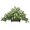 17" Silver Queen & Ivy Plant In Decorative Planter 1 17" Silver Queen & Ivy Plant In Decorative Planter -Michaels D262968S 1