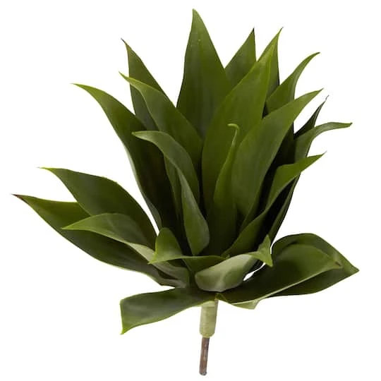 Agave Plant Spikes, 2ct. 5 Agave Plant Spikes, 2ct. - Image 3