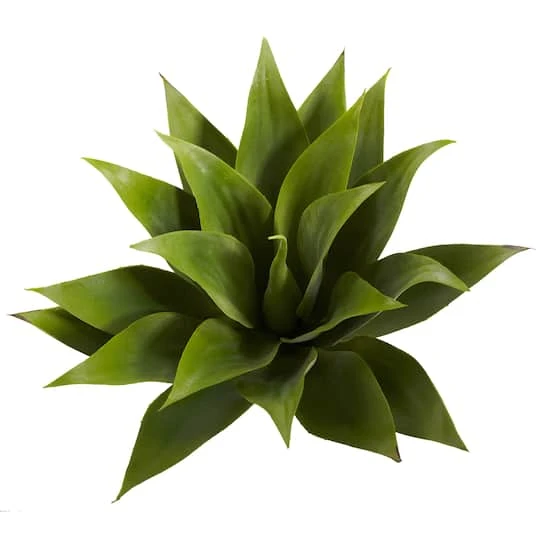 Agave Plant Spikes, 2ct. 6 Agave Plant Spikes, 2ct. - Image 4