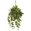 3.5ft Pothos And Boston Fern Hanging Basket -Michaels D262983S 11