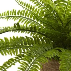 15" Boston Fern With Burlap Planter, 2ct. -Michaels D262984S 12