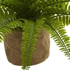 15" Boston Fern With Burlap Planter, 2ct. -Michaels D262984S 13