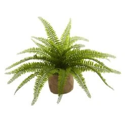 15" Boston Fern With Burlap Planter, 2ct. -Michaels D262984S 14
