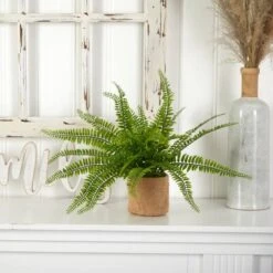 15" Boston Fern With Burlap Planter, 2ct. -Michaels D262984S 16