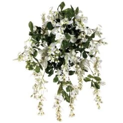 White & Green Wisteria Hanging Bush