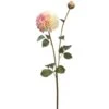 Pink Cream Dahlia Spray -Michaels D264479S 1