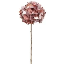 Mauve Purple Hydrangea Stem