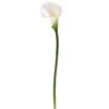 White Calla Lily Stem 2 White Calla Lily Stem -Michaels D264520S 1