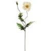 Cream Poppy Spray 1 Cream Poppy Spray -Michaels D264603S 1