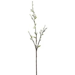 White & Green Pussy Willow Stem