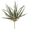 Soft Touch Green Spiky Wide Aloe Pick 1 Soft Touch Green Spiky Wide Aloe Pick -Michaels D265635S 1