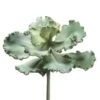 Soft Touch Green Curly Echeveria Pick