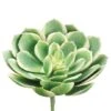 Soft Touch Green, White & Pink Echeveria Pick -Michaels D265680S 1