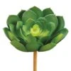 Soft Touch Green Echeveria Pick With Light Green Center -Michaels D265688S 1