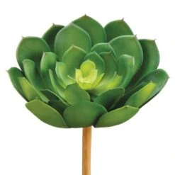 Soft Touch Green Echeveria Pick With Light Green Center
