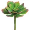 Green & Pink Echeveria Pick 2 Green & Pink Echeveria Pick -Michaels D265703S 1