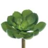 Soft Touch Green Echeveria Pick With Dark Green Tips -Michaels D265713S 1