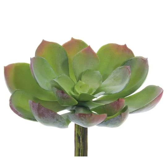 Soft Touch Green & Red Echeveria Pick 4 Soft Touch Green & Red Echeveria Pick - Image 2