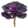 Soft Touch Purple Echeveria Pick -Michaels D265721S 1