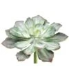 Soft Touch Dark Green & Gray Echeveria Pick -Michaels D265724S 1