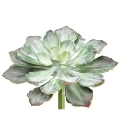 Soft Touch Dark Green & Gray Echeveria Pick