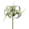 Light Green Gray Tillandsia Pick -Michaels D265738S 1