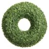20" Green Soft Touch Sedum Wreath 1 20" Green Soft Touch Sedum Wreath -Michaels D265746S 1